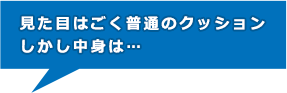 見た目はごく普通のクッションしかし中身は…