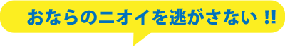 おなら音もニオイも漏らさない!