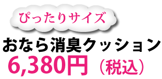 ぴったりサイズのおなら消臭クッション 6,380円(税別)